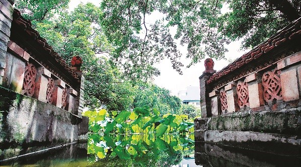 Ao sen trước sân Đình làng Mọc Quan Nhân, một vẻ đẹp hiền hòa khiến người xem được chậm lại giữa nhịp sống vội vã của thời đại(Ảnh: PV)