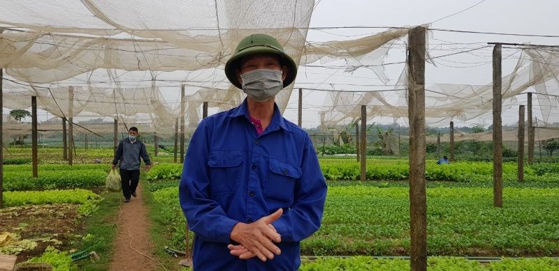 Anh Nguyễn Khắc Đạo, Trưởng nhóm khu sản xuất rau an toàn Tiền Lệ, phụ trách vùng 2,5ha nhà lưới