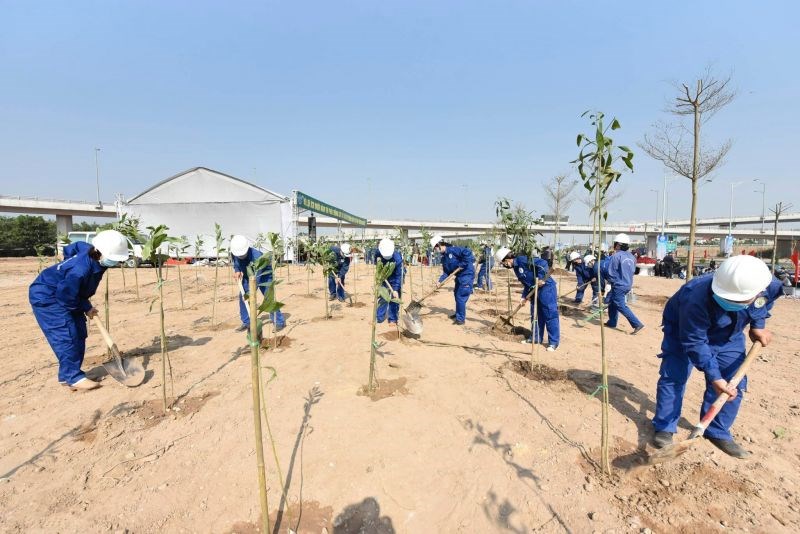 Thành phố Hà Nội phát động Tết trồng cây hưởng ứng Chương trình trồng 1 tỷ cây xanh giai đoạn 2021-2025 - ảnh 2