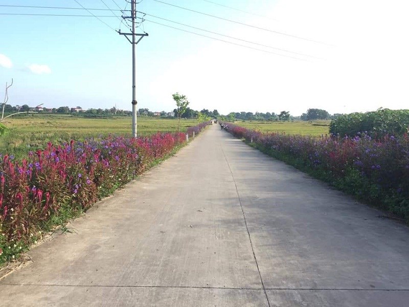 Tuyến đường nở hoa của Phụ nữ huyện Sóc Sơn