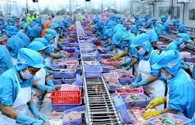 Cơ hội xuất khẩu tôm Việt Nam sang thị trường Anh tăng mạnh