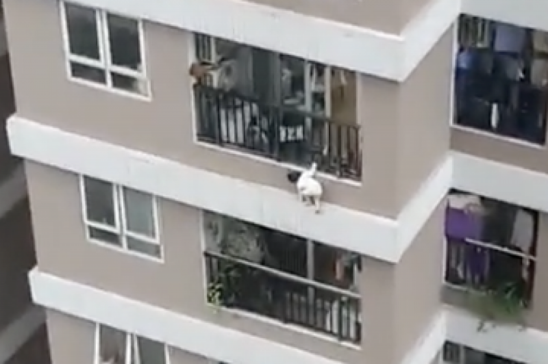 Hình ảnh cháu bé 3 tuổi trèo ra khỏi lan can ban công tầng 12 được người dân quay clip lại.