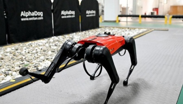Chú chó robot của Weilen - Ảnh: AFP