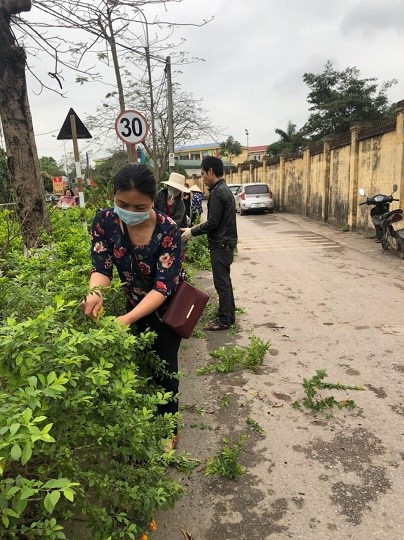 Hội viên Hội LHPN xã Tân Lập trồng và chăm sóc tuyến đường nở hoa.