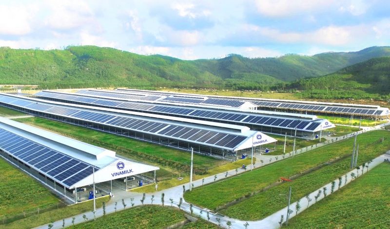 Năng lượng mặt trời đã được Vinamilk triển khai áp dụng trên tất cả trang trại cả nước, dự kiến hoàn thành vào cuối 2021