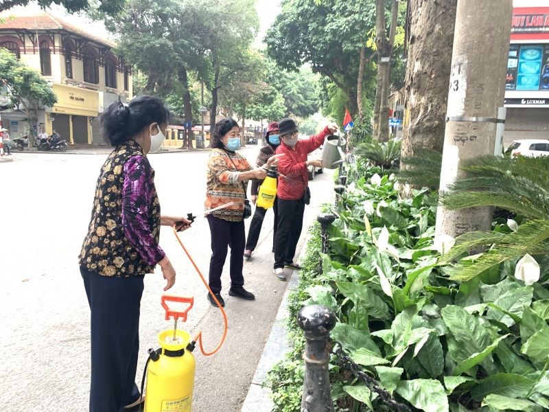Hội LHPN phường Tràng Tiền chăm sóc cây xanh