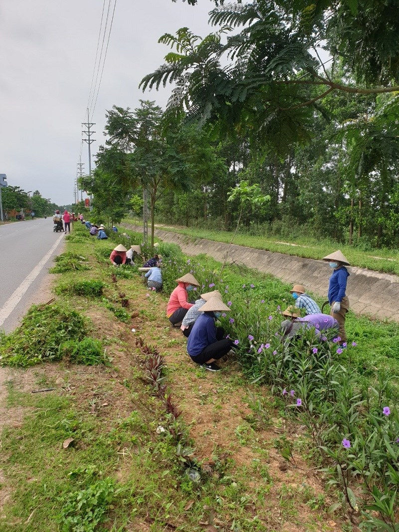Chị em tham gia trồng và chăm sóc hoa trên các tuyến đường
