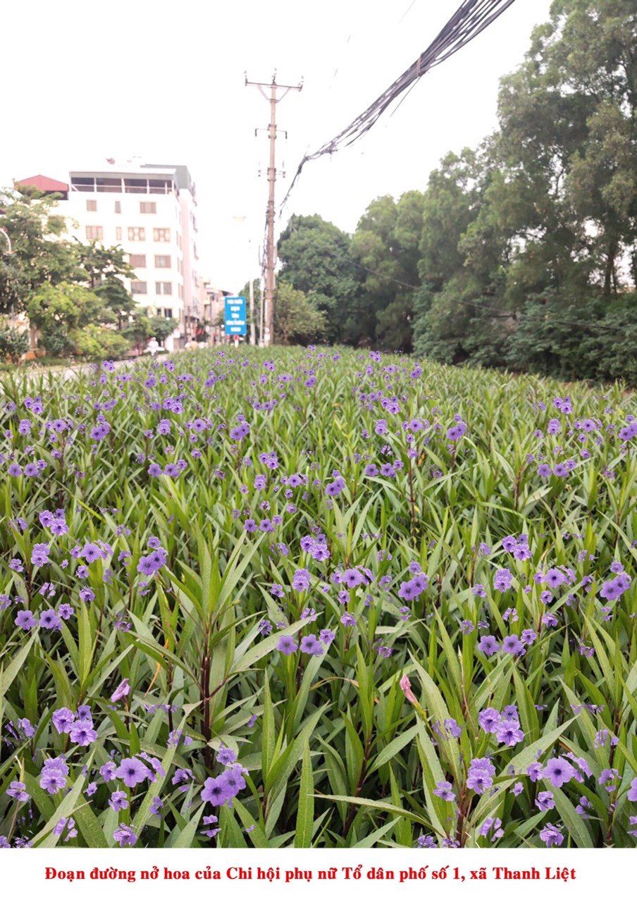 Đoạn đường hoa của Hội LHPN xã Thanh Liệt đạt giải Nhất