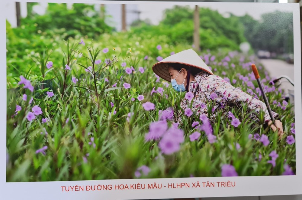 Bức ảnh tuyến đường nở hoa đạt Giải Đặc biệt của xã Tân Triều, huyện Thanh Trì