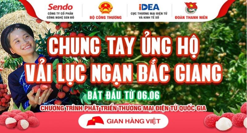 Vải thiều Bắc Giang lần đầu tiên chuyển phát  nhanh qua “Gian hàng Việt trực tuyến Quốc gia” - ảnh 2