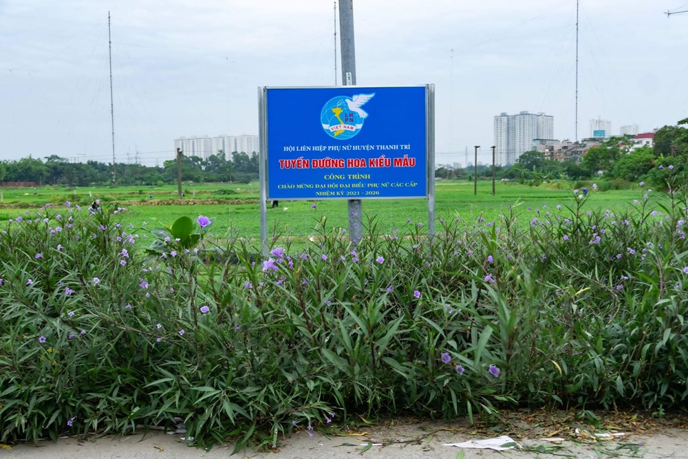Hội LHPN xã Tân Triều, huyện Thanh Trì hưởng ứng ngày môi trường thế giới - ảnh 1