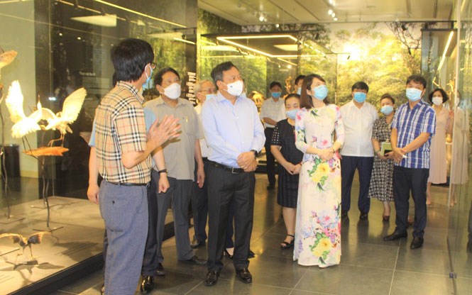 Phó Bí thư Thành ủy Nguyễn Văn Phong cùng đoàn công tác của Thành ủy Hà Nội tham quan khu trưng bày mẫu thuộc dự án trưng bày Bảo tàng Hà Nội.