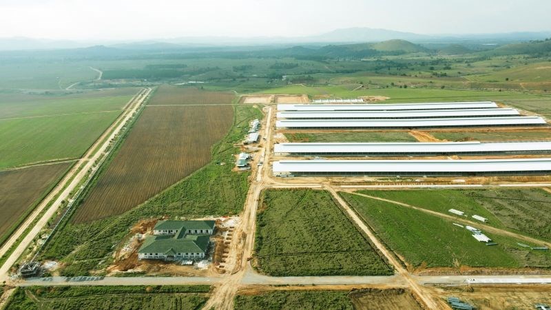 Trang trại đầu tiên trong Tổ hợp bò sữa Lao-Jagro tại Xiêng Khoảng của Vinamilk đã hoàn thành các hạng mục xây dựng cơ bản (ảnh chụp tháng 5/2021)