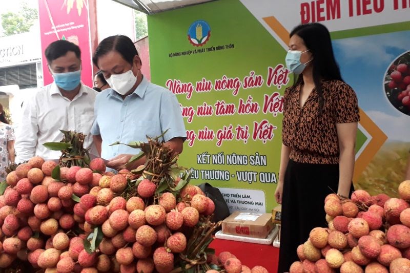 Lãnh đạo Bộ NN&PTNT kiểm tra điểm tiêu thụ nông sản an toàn phòng dịch Covid-19 của Trung tâm Xúc tiến thương mại nông nghiệp tại số 489 Hoàng Quốc Việt, Hà Nội.