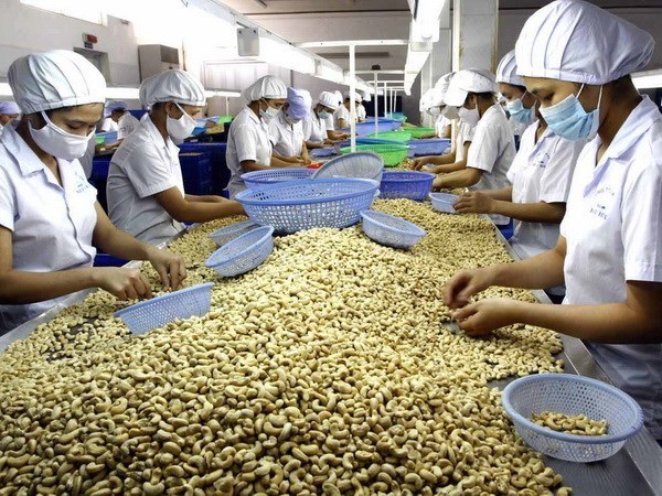 Hạt điều của Việt Nam xuất khẩu sang Peru