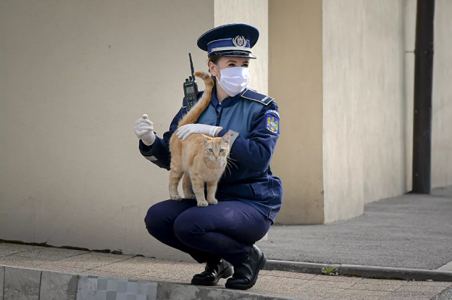 Nữ cảnh sát chơi với một chú mèo bên ngoài nhà thờ ở Bucharest, Romania.