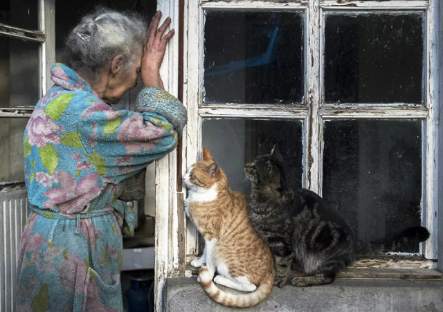 Hai chú mèo bên cạnh ngôi nhà của một bà lão ở thị trấn Lachin (Berdzor), Nagorno-Karabakh