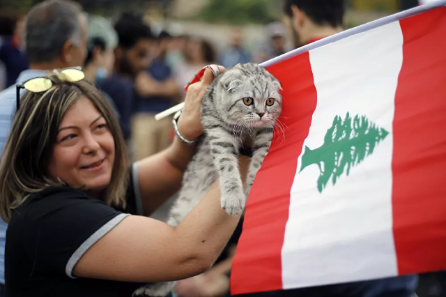 Người biểu tình mang theo chú mèo và lá cờ Lebanon trong cuộc biểu tình ở Beirut, Lebanon.