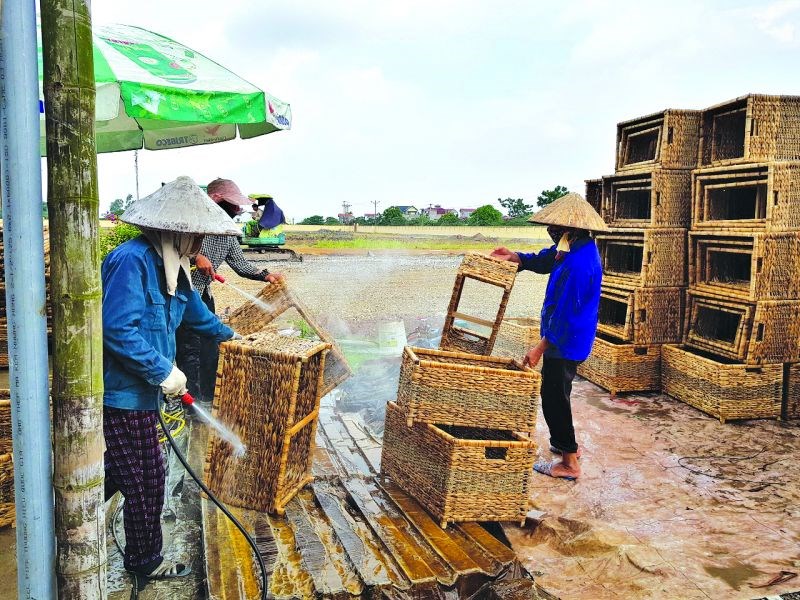Doanh nghiệp sản xuất sản phẩm mây tre đan của gia đình nghệ nhân Nguyễn Thị Lương giải quyết việc làm cho hàng nghìn lao động