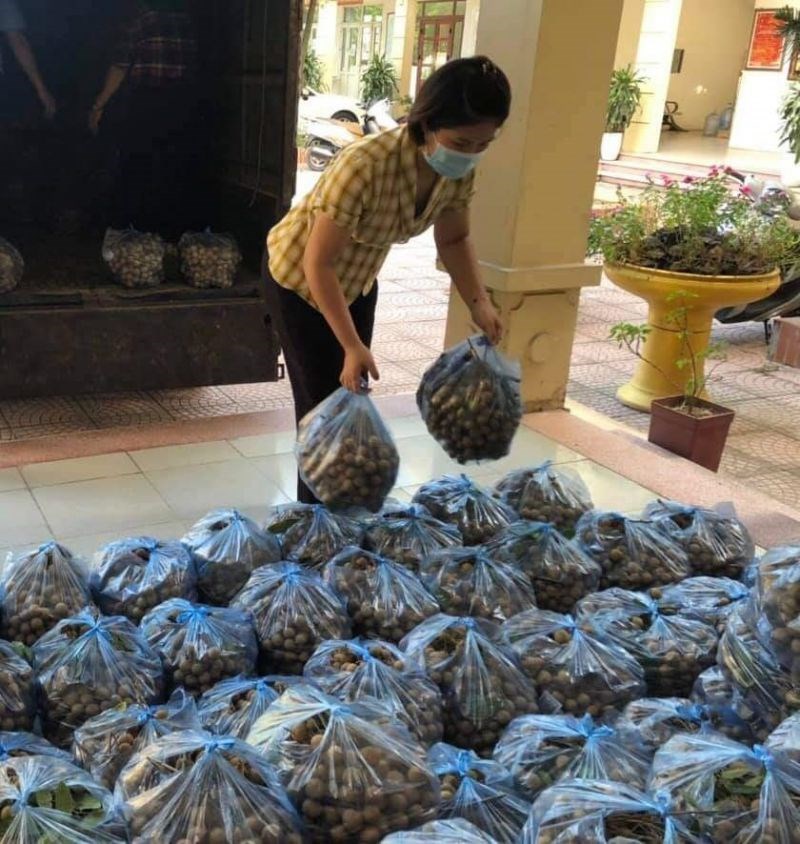 Cán bộ hội viên phụ nữ huyện GIa Lâm cũng tích cực trong các hoạt động hỗ trợ tiêu thụ nông sản của các tỉnh thành  và nhãn lồng Hưng Yên