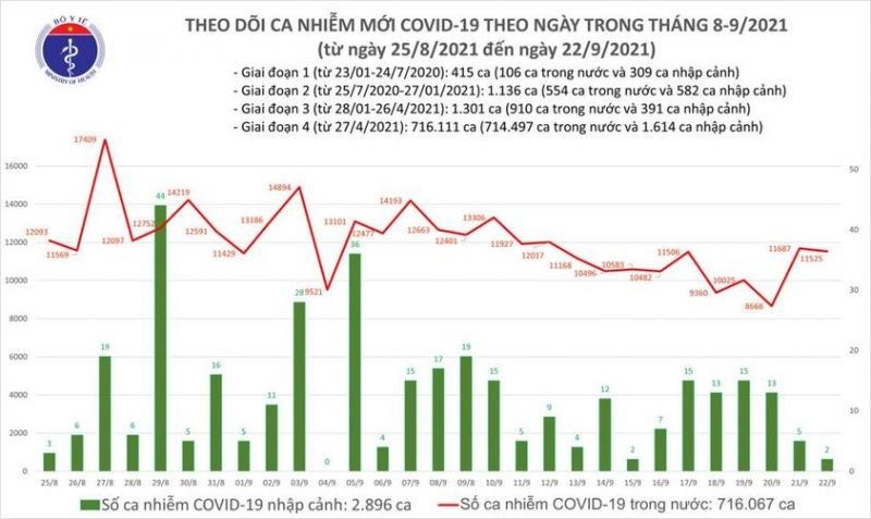 Số ca mắc Covid-19 của Việt Nam đứng thứ 46/222 quốc gia và vùng lãnh thổ - ảnh 1