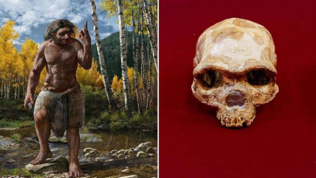 Trung Quốc phát hiện xương sọ hóa thạch người cổ đại - ảnh 1