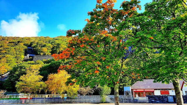 Cảnh sắc nên thơ của mùa thu ở làng Llanberys, xứ Wales.