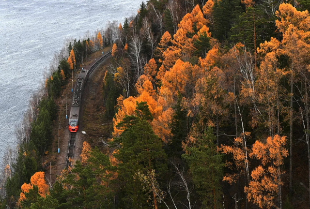 Đoàn tàu điện di chuyển dọc theo bờ Yenisei trong rừng taiga Đông Siberia.