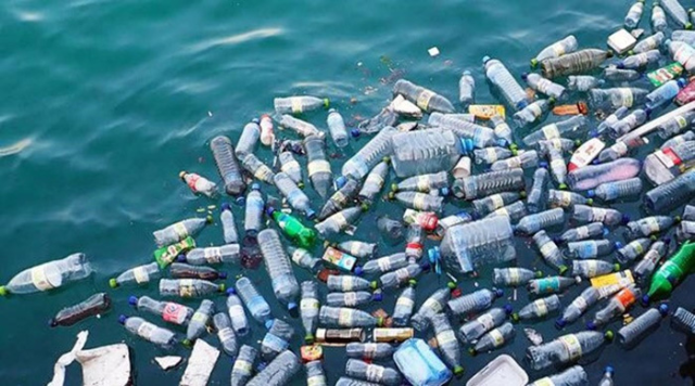 Rác thải nhựa không được xử lý đúng cách gây ảnh hưởng nghiêm trọng đến môi trường sống.