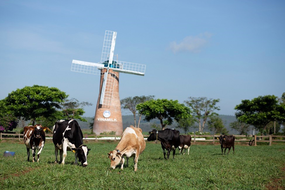 Vinamilk đưa sữa tươi Organic với “tiêu chuẩn kép” đến triển lãm quốc tế hàng đầu tại  Thượng Hải - ảnh 8