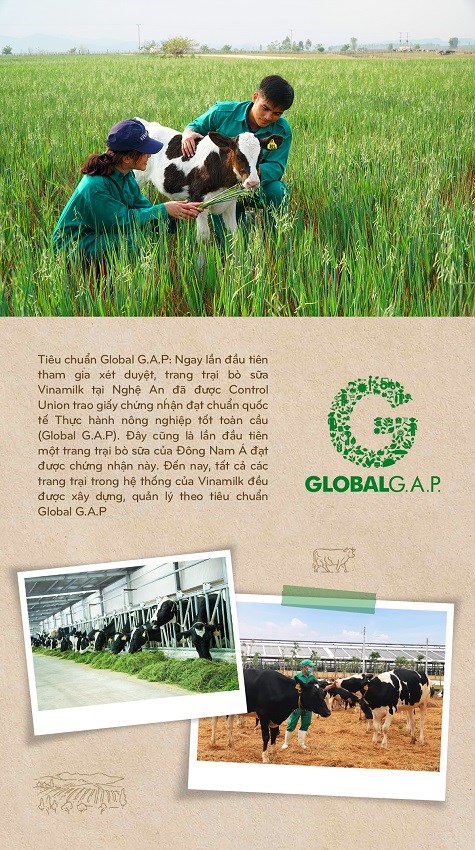 Hành trình Vinamilk xây dựng hệ thống 13 trang trại chuẩn quốc tế khắp Việt Nam - ảnh 11