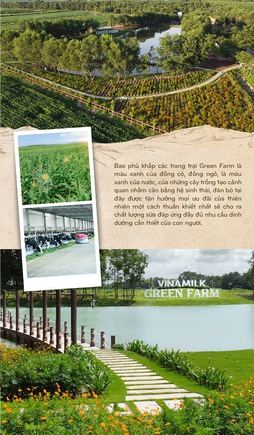 Hành trình Vinamilk xây dựng hệ thống 13 trang trại chuẩn quốc tế khắp Việt Nam - ảnh 12