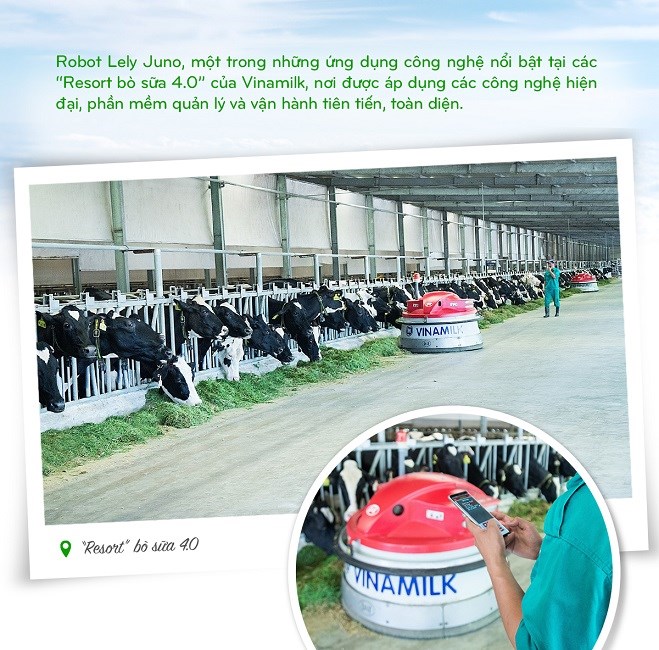 Hành trình Vinamilk xây dựng hệ thống 13 trang trại chuẩn quốc tế khắp Việt Nam - ảnh 8