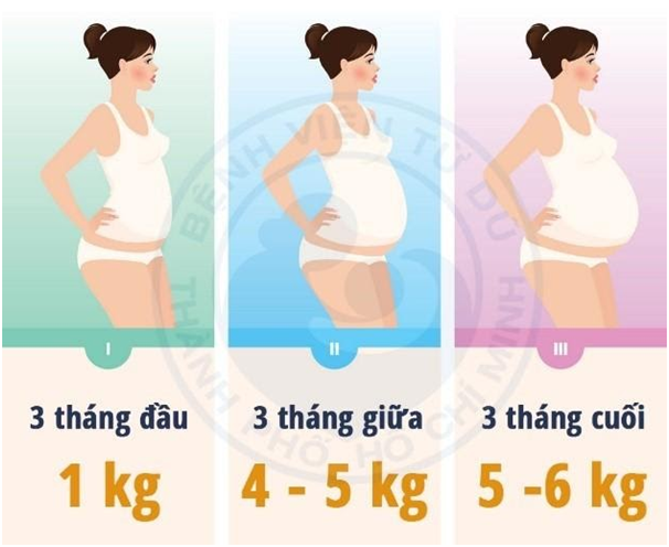 Với tình trạng dinh dưỡng bình thường (BMI: 18,5 – 24,9) mức tăng cân của người mẹ trong thai kỳ nên đạt là 10 – 12 kg
