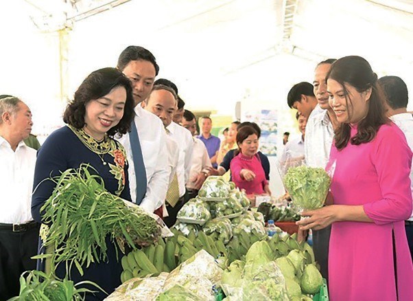 Đồng chí Ngô Thị Thanh Hằng thăm gian trưng bày sản phẩm nông nghiệp chất lượng cao tại huyện Gia Lâm.