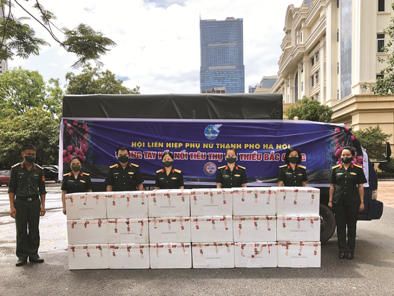 Cán bộ, hội viên phụ nữ Bộ tư lệnh Thủ đô hỗ trợ tiêu thụ vải thiều giúp nông dân Bắc Giang do ảnh hưởng dịch Covid-19