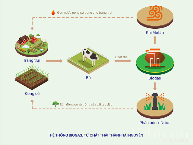 Sơ đồ về hệ thống Biogas tại các trang trại bò sữa Vinamilk.