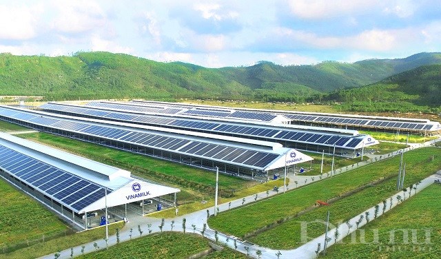 Năng lượng mặt trời đã được Vinamilk triển khai áp dụng trên tất cả trang trại cả nước, dự kiến hoàn thành vào cuối 2021.