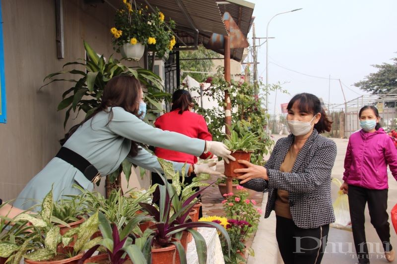 Hội LHPN phường Tứ Liên: Sáng tạo với mô hình 