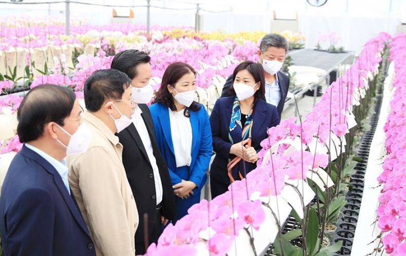 Phó Bí thư Thường trực Thành ủy Nguyễn Thị Tuyến tham quan mô hình sản xuất rau hữu cơ tại huyện Đan Phượng