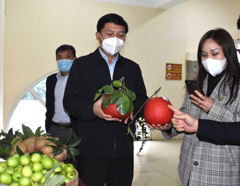 Đ/c Bí thư Huyện ủy Nguyễn Thanh Liêm trực tiếp giới thiệu sản phẩm bưởi đỏ - đặc sản của xã Tráng Việt, huyện Mê Linh