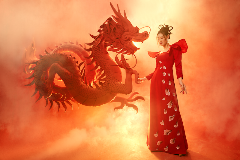 Hoa hậu Khánh Vân chụp ảnh áo dài Tết với hình tượng Rồng - ảnh 3