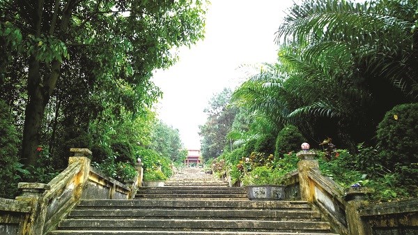 79 bậc thềm lát gạch dẫn lên đài tưởng niệm Hồ Chí Minh tại Đồi 79 mùa xuân