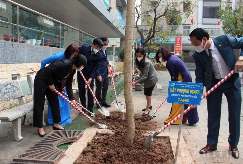 Các đại biểu trồng cây Phượng Osaka do Hội LHPN phường Yên Hòa tặng tại  khuôn viên trường tiểu học An Hòa.