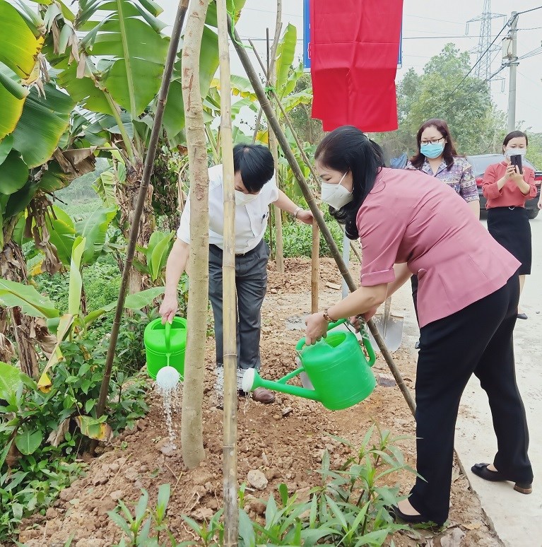 Các đại biểu tham gia trồng cây muồng hoàng yến hưởng ứng Tết trồng cây năm 2022