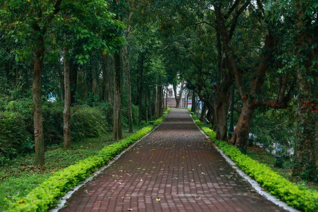 Những con đường cổ kính và rợp bóng cây xanh trên tuyến phố đi bộ