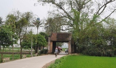Hà Nội: Thị xã Sơn Tây có 100% số xã hoàn thành nông thôn mới - ảnh 1