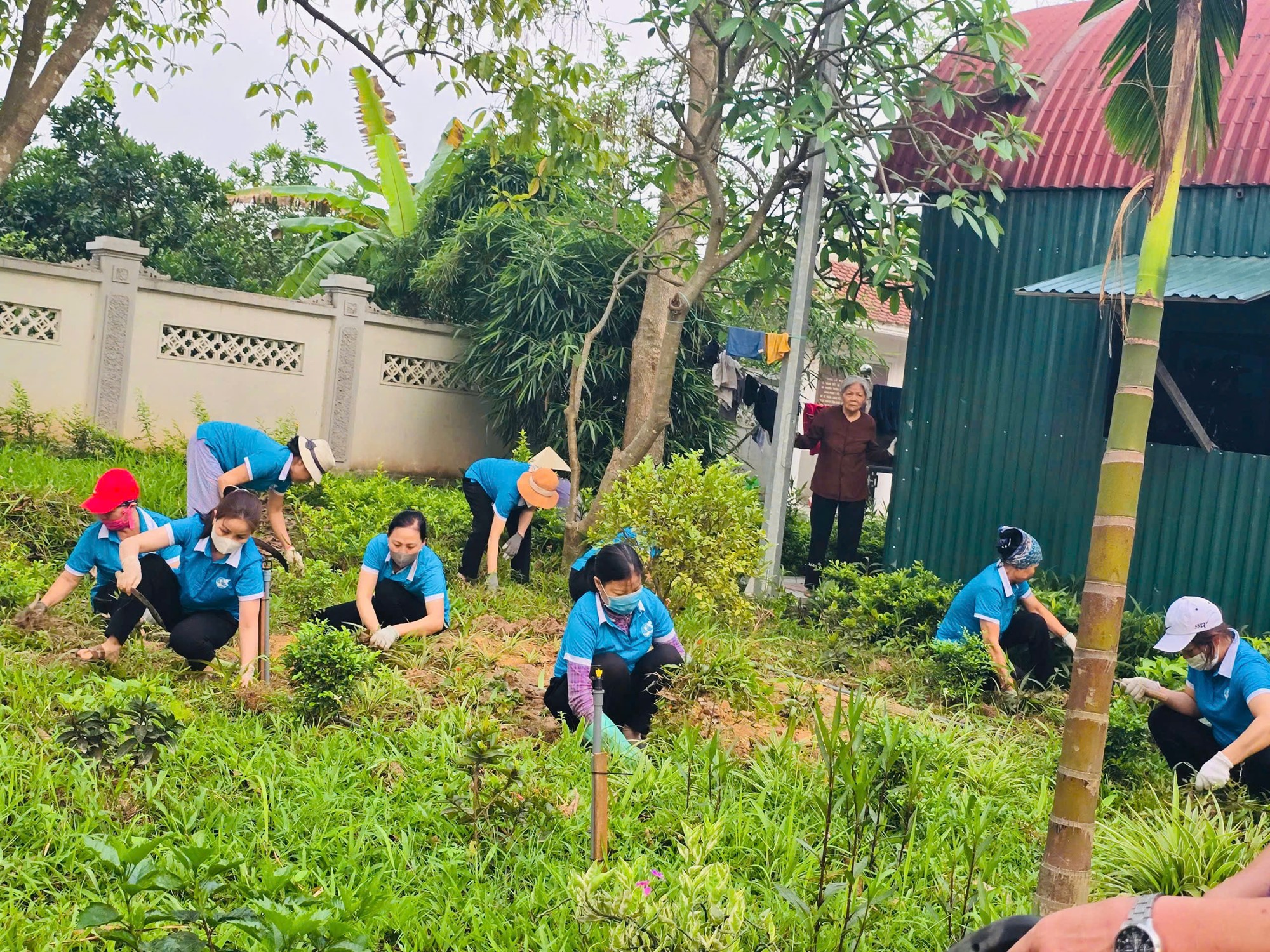 “Ngày cuối tuần xanh” của phụ nữ Hà Nội - ảnh 9