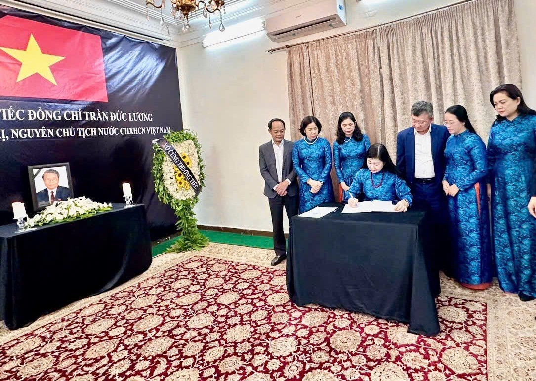 Thúc đẩy các hoạt động đối ngoại nhân dân giữa Hà Nội với Ai Cập và Nam Phi - ảnh 2