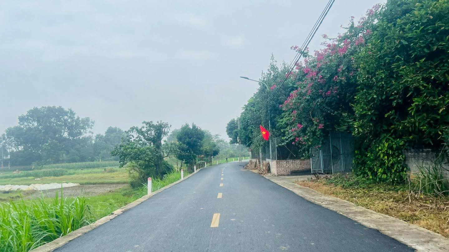 Thị xã Sơn Tây: Sẵn sàng chính thức vận hành chính quyền 2 cấp  - ảnh 9